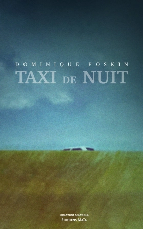 Taxi de nuit - Dominique Poskin